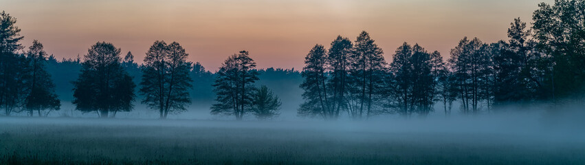 Wall Mural - panorama of forest landscape in fog at sunset