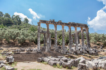 Temple of Zeus in Euromos, Milas, Bodrum, Turkey.