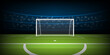 Football stadium arena, football goal on penalty position, vector illustration