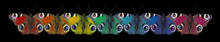 Colors Of Rainbow. Colorful Peacock Butterflies Of Seven Colors Of The Rainbow. Color Concept In Nature