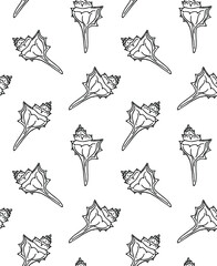 Wall Mural - Vector seamless pattern of hand drawn doodle sketch shell isolated on white background