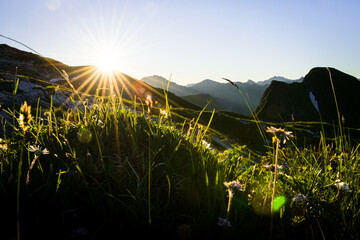 Rising sun in the german Allgäu Alps near Oberstdorf on a clear refreshing morning