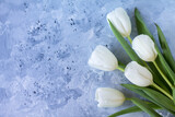 Fototapeta Tulipany - beautiful spring tulips as a symbol of love