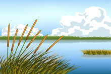Lake Scape And Reed Grass Vector