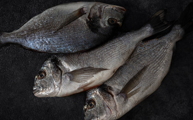 Poster - Fresh raw dorado fish on dark background top view