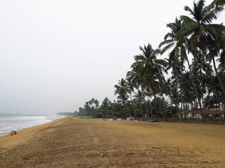 Wall Mural - The beach of Sri Lanka, West Coast, Indian Ocean