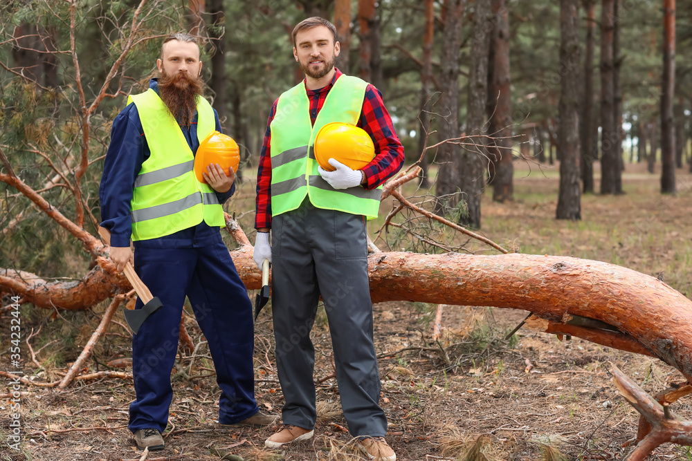 Handsome lumberjacks with hardhats in forest