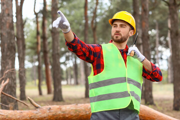 Wall Mural - Handsome lumberjack with axe in forest