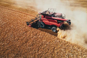 Wall Mural - Combine harvester agriculture machine harvesting golden ripe wheat field