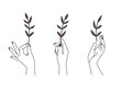© ssstocker - Female tattoo hands. Woman hands with black nail color hold vector drawing branches in dark style isolated on white background