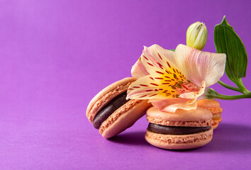 beige macaroons with Alstroemeria flowers on a purple