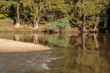 Wall Mural - Cotter River flowing nicely at Cotter Bend