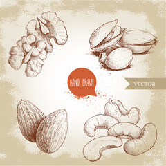 Wall Mural - Hand drawn sketch style nuts set. Walnut, cashew, almonds and pistachios. Collection of healthy natural food. Vector illustrations isolated on old background.