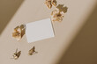© Floral Deco - Blank paper sheet card with empty copy space and flower buds with sunlight shadows on beige background. Flat lay, top view business mock up template.