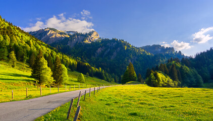 Wall Mural - Alpine landscape with spring meadow, forest, road and rocky mountains under blue sky. Allgäu Alps. Bavaria, Germany