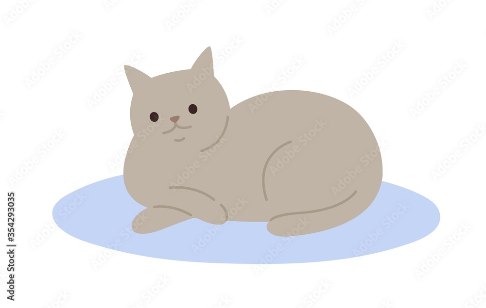Cute cartoon gray cat lying on carpet vector flat illustration. Adorable domestic animal relaxing on floor isolated on white background. Funny pet colorful furry friend with tail - obrazy, fototapety, plakaty 