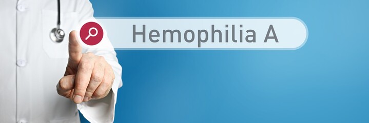 Wall Mural - Hemophilia A. Doctor in smock points with his finger to a search box. The term Hemophilia A is in focus. Symbol for illness, health, medicine