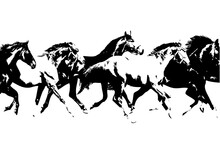 Horse Art Illustration Grunge Painting
