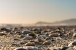 Close-up of pebble beach with light reflecting on stones against the blurred sky