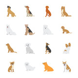 Fototapeta Pokój dzieciecy - Dog Species icons