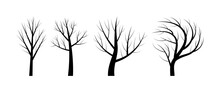 Naked Trees Silouettes. Black Objects On White Background. Vector Illustration.
