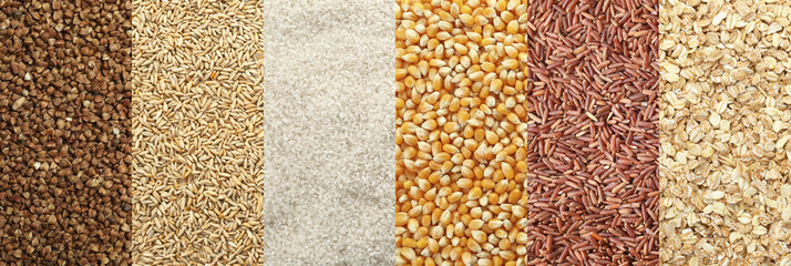 Collection of different grains and cereals as background. Banner design