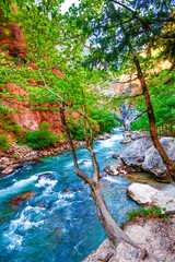 Wall Mural - beautiful landscape, nature. forest mountain and blue stream, beauty nature scenery view background.