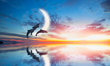 Silhoutte Of Beautiful Dolphin Jumping Up From The Sea At Sunset With Super Moon "Elements Of This Image Furnished By NASA "