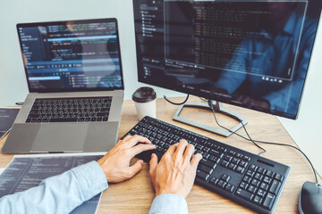 Wall Mural - developing programmer development website design and coding technologies working in software company