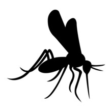 Mosquito Silhouette Realistic Insect. Black Mosquito Painted On A White Isolated Background. The Design Can Be Used In Medicine As A Carrier Of Many Diseases Zika Virus, Logo, Emblem, Tattoo. Vector