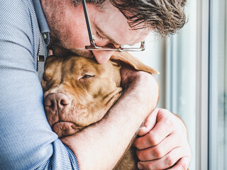 Handsome man hugging a charming puppy. Close-up, indoors. Studio photo, white color. Concept of care, education, obedience training and raising pets