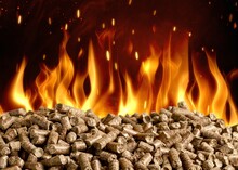 Hot Burning Wood Chip Pellets