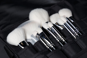 Professional make-up brush set on dark background. Natural and synthetic bristles.  Black handles. Make up artist tools. Copy space. Beauty and makeup concept. Close-up