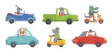 Fototapeta Pokój dzieciecy - Cute bright animals ceremony in colourful cars vector illustration. Different vehicle flat style. Road movement or traffic. Crocodile hippo and rhino. Isolated on white background