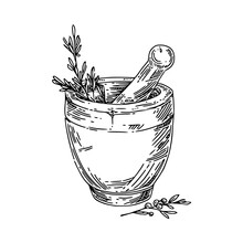 Stone Mortar With Herbs. Sketch. Engraving Style. Vector Illustration.