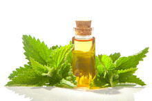 Catmint Essential Oil In  Beautiful Bottle On White Background