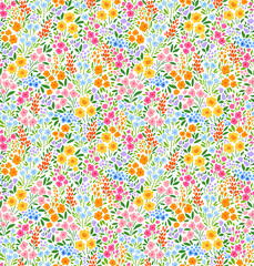 Cute floral pattern in the small flower. Ditsy print. Seamless vector texture. Elegant template for fashion prints. Printing with small colorful flowers. White background.
