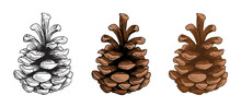 Pine Cones Vector Set. Different Hand Drawn Sketch Styles. Botanical Drawing. Winter Holidays, Christmas Symbols. Isolated On White Background.