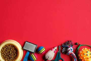 Pet care and training concept. Bowl with food for cat and dog and pet accessories on red background.