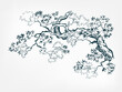 © CharlieNati - flower plantmaple branch japanese chinese ink line sketch style