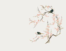 Sakura Blooming Birds Traditional Card Background Vector Illustration Line Art Japanese Chinese Oriental Design