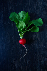 Sticker - fresh radish on a dark wooden surface