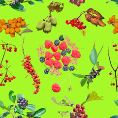 Wall Mural - Different berries. Seamless pattern.