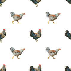 Sticker - Cocks, seamless pattern.