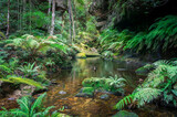 Fototapeta Sawanna - Tropical rainforest landscape with water and green ferns