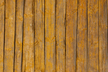 Wall Mural - Texture of a yellow fence made of wooden boards