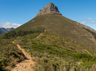 Lion's Head Scenery