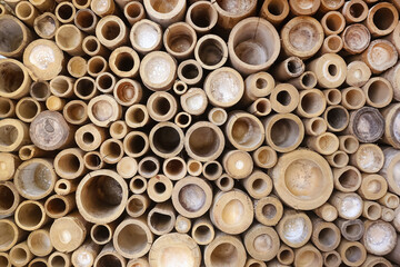Bamboo circle cross section texture for background