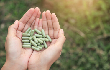 hand hold capsule from organic herb in nature for healthy eating 