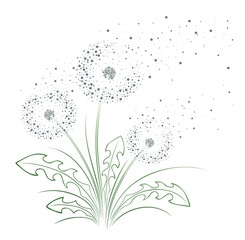 Sticker - A flower of a field dandelion with flying seeds.